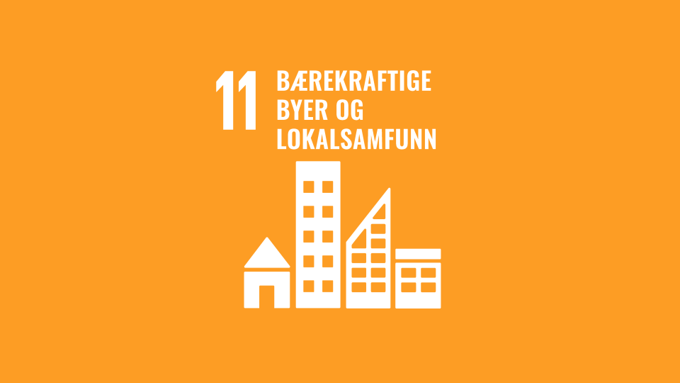 Fns Bærekraftmål Bilder Til Format Redigering (10)