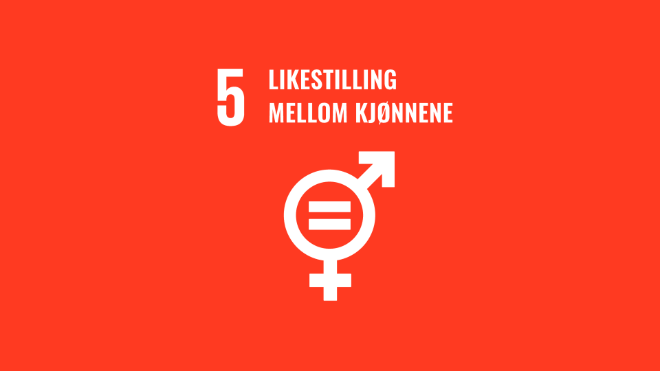 Fns Bærekraftmål Bilder Til Format Redigering (4)