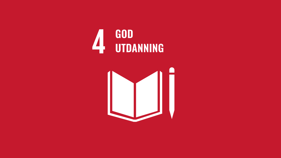 Fns Bærekraftmål Bilder Til Format Redigering (3)