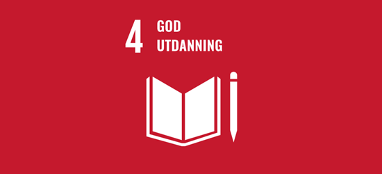 Fns Bærekraftmål Bilder Til Format Redigering (3)