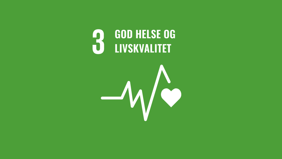 Fns Bærekraftmål Bilder Til Format Redigering (2)