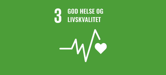 Fns Bærekraftmål Bilder Til Format Redigering (2)