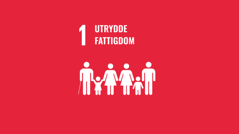 Fns Bærekraftmål Bilder Til Format Redigering