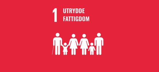 Fns Bærekraftmål Bilder Til Format Redigering