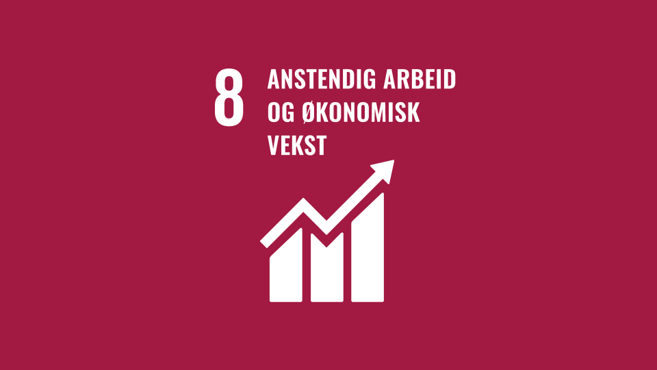 Fns Bærekraftmål Bilder Til Format Redigering (7)