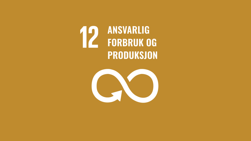 Fns Bærekraftmål Bilder Til Format Redigering (11)