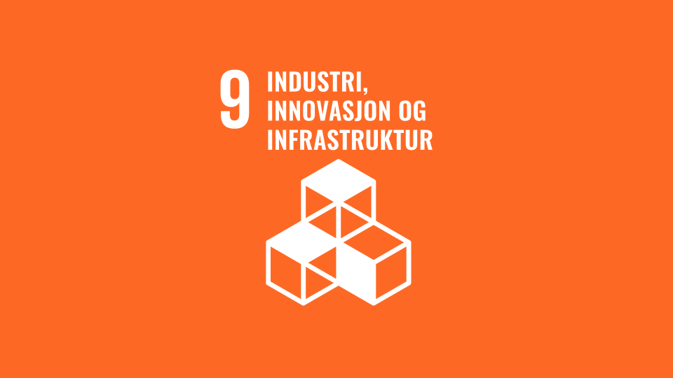 Fns Bærekraftmål Bilder Til Format Redigering (8)